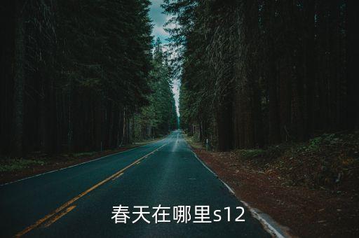 春天在哪里s12