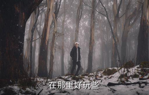 舞蹈 家风是什么意思，有什么好听的音乐