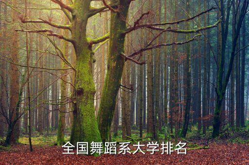 全国舞蹈系大学排名