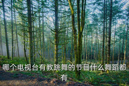 哪个电视台有教跳舞的节目什么舞蹈都有