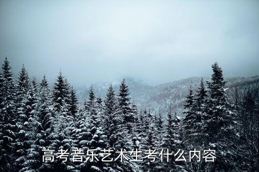 音乐生艺考，音乐艺术生艺考考什么艺考要准备些什么