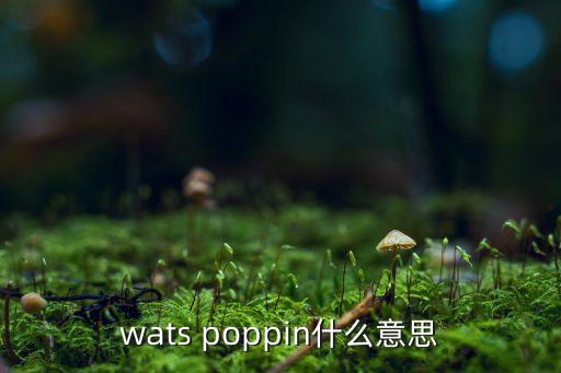 wats poppin什么意思