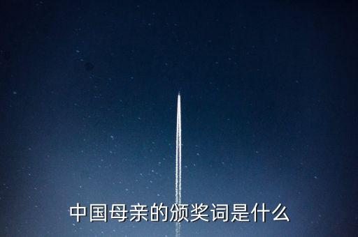 中国母亲的颁奖词是什么