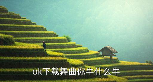 凤凰广场牛什么牛，ok下载舞曲你牛什么牛
