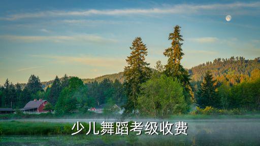 少儿舞蹈考级收费
