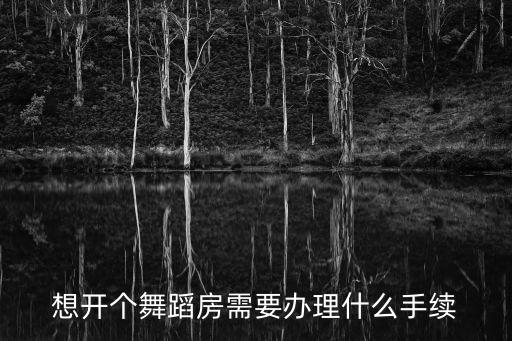 想开个舞蹈房需要办理什么手续