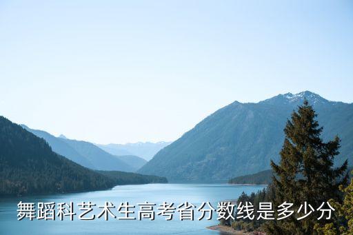 2021舞蹈艺考生分数线湖北，武汉 艺术类 二本分数线