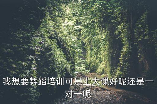 舞蹈上小课和大课哪个好，古筝上大课好还是上小课