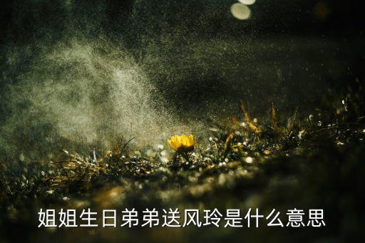 姐姐生日弟弟送风玲是什么意思