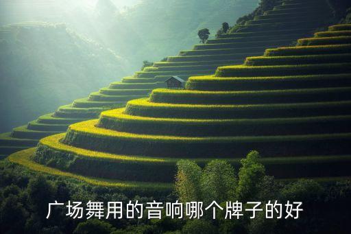 户外广场舞音响哪个牌子音质好，户外音箱 哪个牌子好我去旅游想买一个