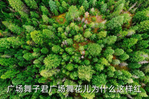 高安子君广场舞花儿为什么这样红，广场舞花儿为何这样红