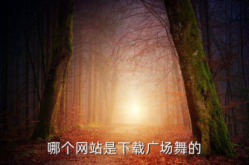 哪个网站是下载广场舞的