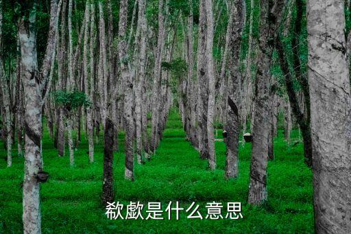 欷歔是什么意思
