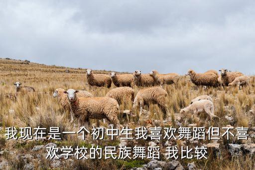街舞和中国舞选哪个好，我现在是一个初中生我喜欢舞蹈但不喜欢学校的民族舞蹈 我比较