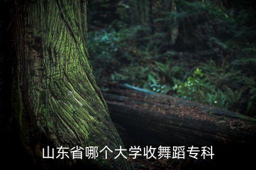 山东有舞蹈专业的专科学校有哪些，山东哪些艺术类专科较好音乐类
