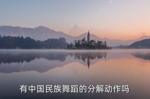 有中国民族舞蹈的分解动作吗