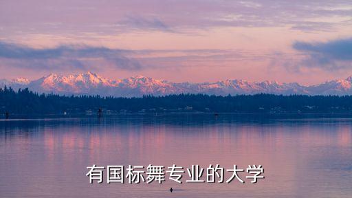 有国标舞专业的大学