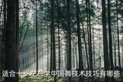 适合十岁左右学中国舞技术技巧有哪些
