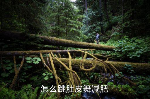 肚皮舞 西米都有哪些，怎么跳肚皮舞减肥