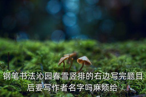 钢笔书法沁园春雪竖排的右边写完题目后要写作者名字吗麻烦给