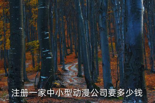 注册一家中小型动漫公司要多少钱