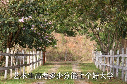 艺术生高考多少分能上个好大学