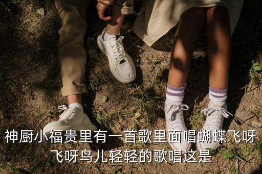神厨小福贵里有一首歌里面唱蝴蝶飞呀飞呀鸟儿轻轻的歌唱这是