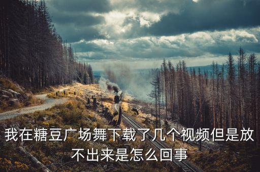 我在糖豆广场舞下载了几个视频但是放不出来是怎么回事