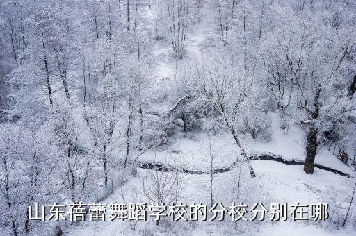山东蓓蕾舞蹈学校的分校分别在哪
