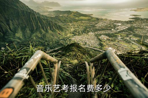 音乐艺考报名费多少