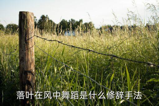 广场舞风往哪里吹单16步，广场舞最炫民族风16步在哪能找到