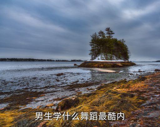 男士学什么舞蹈视频，男生学什么舞蹈最酷内
