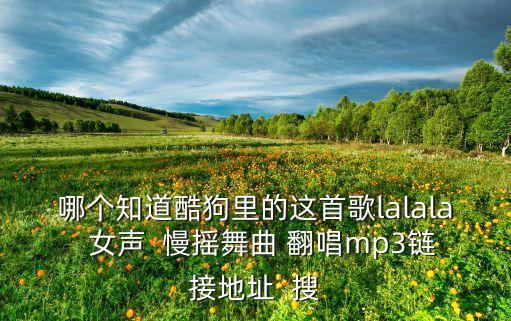 哪个知道酷狗里的这首歌lalala  女声  慢摇舞曲 翻唱mp3链接地址  搜