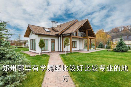 郑州北舞中国舞在哪里，郑州哪里有学舞蹈比较好比较专业的地方