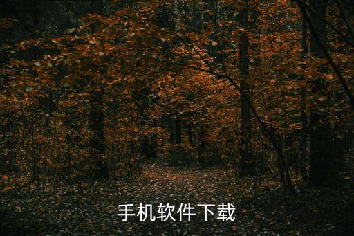 手机软件下载