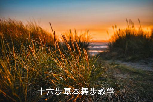 十六步基本舞步教学