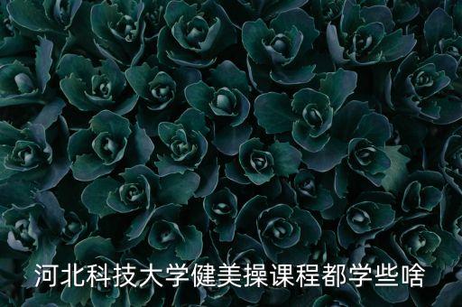 河北科技大学健美操课程都学些啥