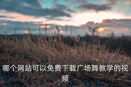 哪个网站可以免费下载广场舞教学的视频