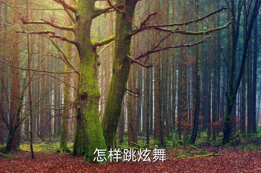 怎样跳炫舞