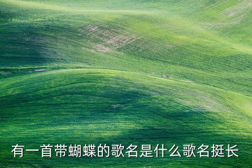 有一首带蝴蝶的歌名是什么歌名挺长