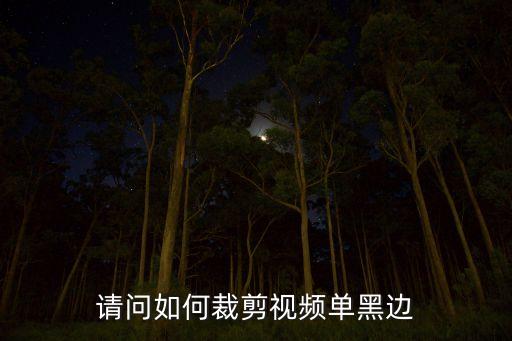 请问如何裁剪视频单黑边