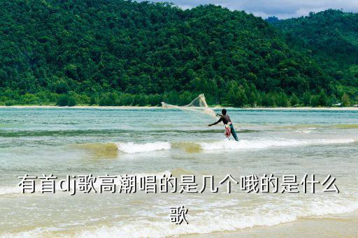 唱的都是情歌歌是水兵舞什么歌，有首dj歌高潮唱的是几个哦的是什么歌