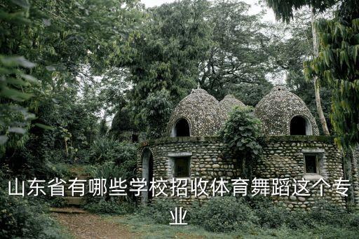 山东省有哪些学校招收体育舞蹈这个专业