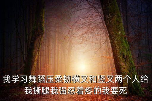 我学习舞蹈压柔韧横叉和竖叉两个人给我撕腿我强忍着疼的我要死