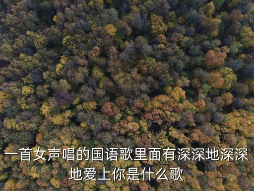 一首女声唱的国语歌里面有深深地深深地爱上你是什么歌