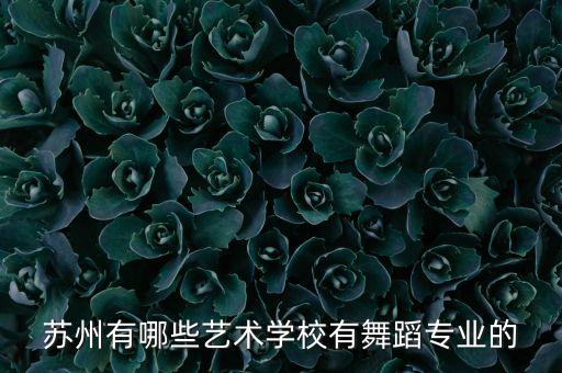 苏州有哪些艺术学校有舞蹈专业的