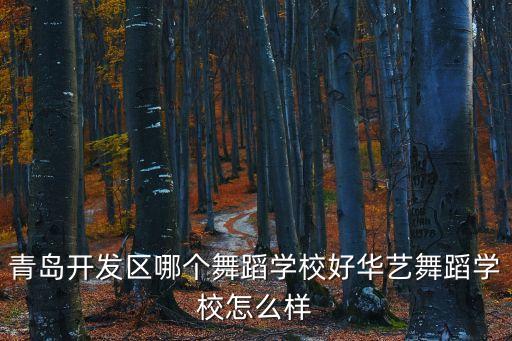 华艺舞蹈艺术学校怎么样，华艺北舞艺术学校怎么样