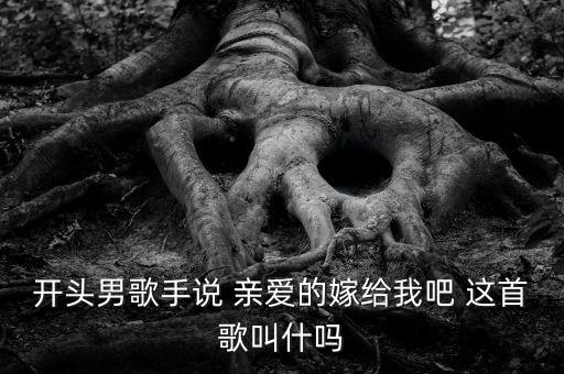 开头男歌手说 亲爱的嫁给我吧 这首歌叫什吗