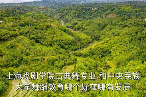 上海戏剧学院古典舞专业 和中央民族大学舞蹈教育哪个好在哪有发展
