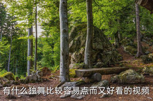 有什么独舞比较容易点而又好看的视频